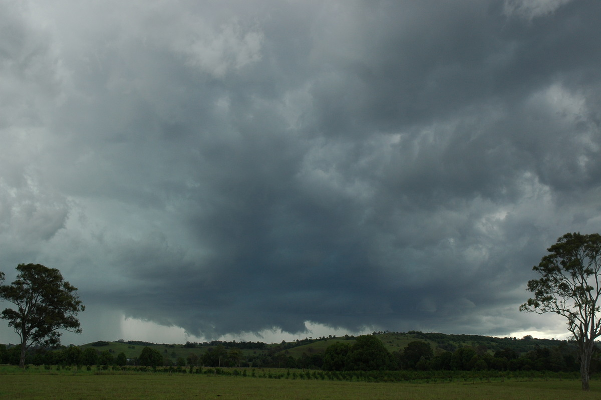 wallcloud thunderstorm_wall_cloud : near Lismore, NSW   29 November 2005