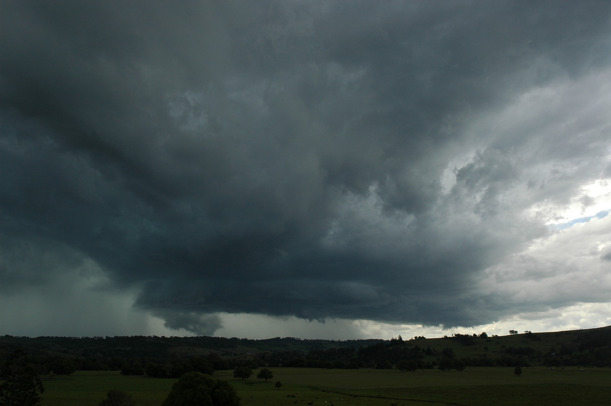 cumulonimbus thunderstorm_base : near Lismore, NSW   29 November 2005