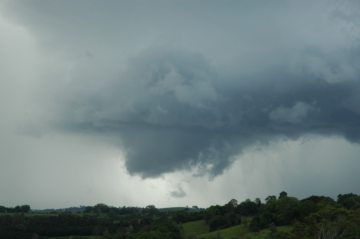 wallcloud thunderstorm_wall_cloud : near Lismore, NSW   29 November 2005