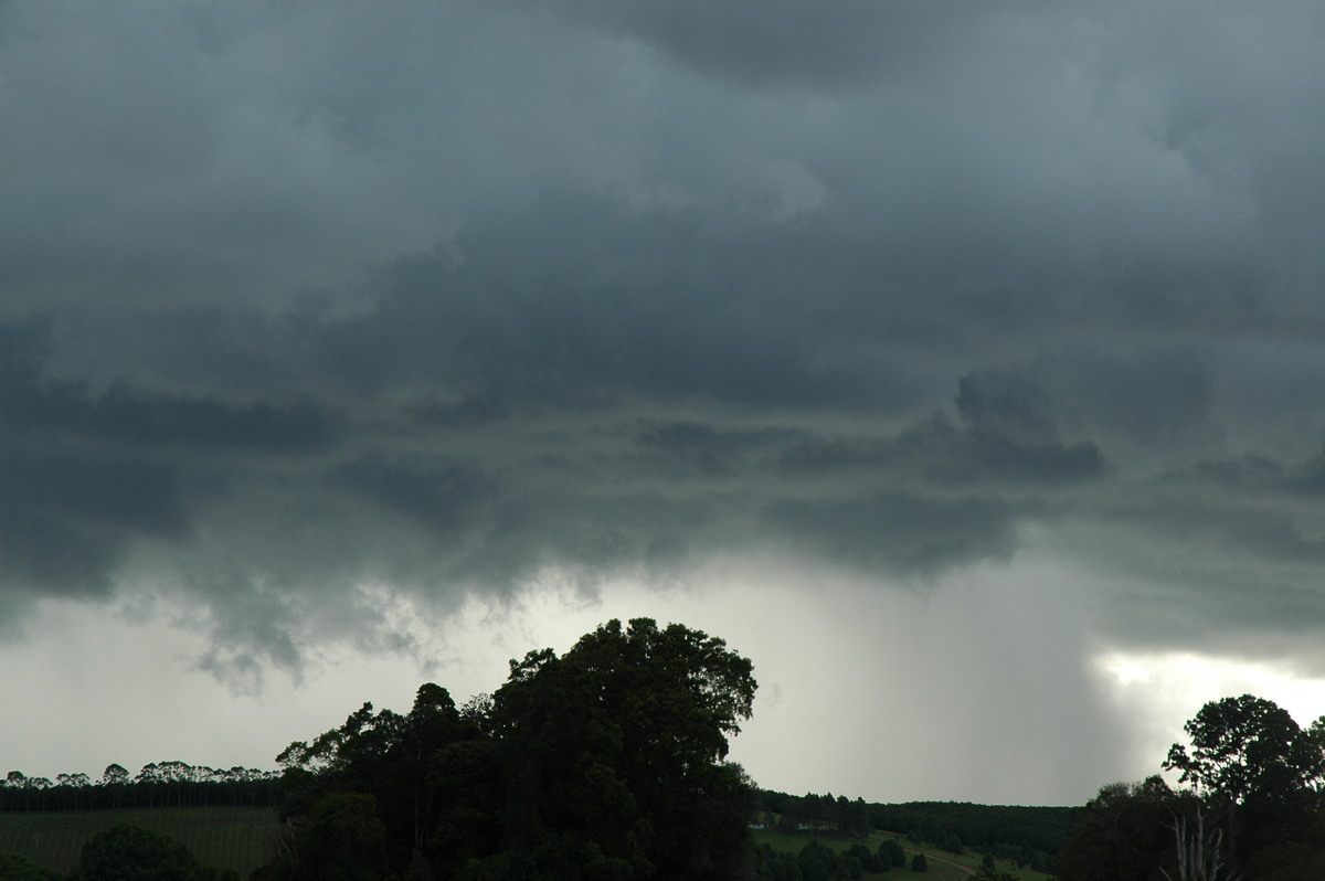 cumulonimbus thunderstorm_base : near Lismore, NSW   29 November 2005