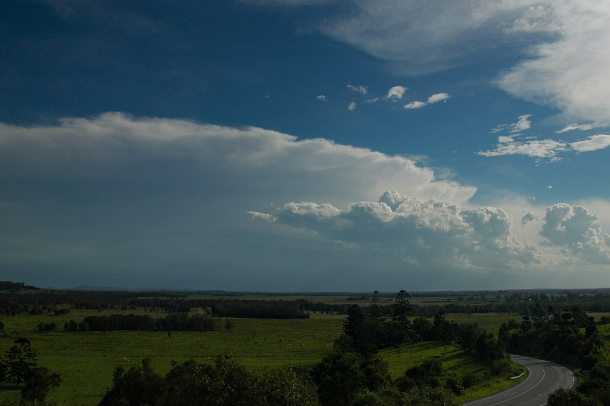 thunderstorm cumulonimbus_incus : Parrots Nest, NSW   30 November 2005