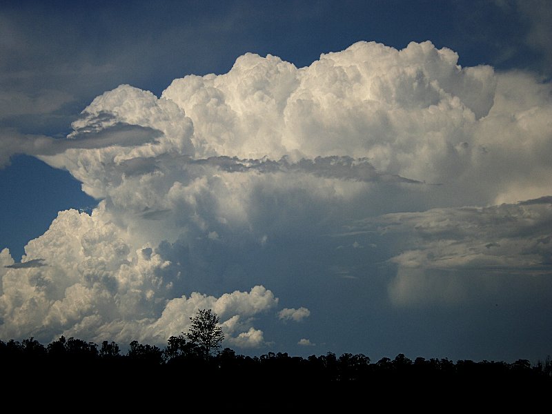 thunderstorm cumulonimbus_incus : Bringelly, NSW   1 December 2005