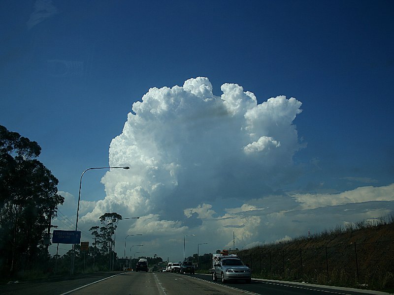 thunderstorm cumulonimbus_calvus : Horsley Park, NSW   1 December 2005