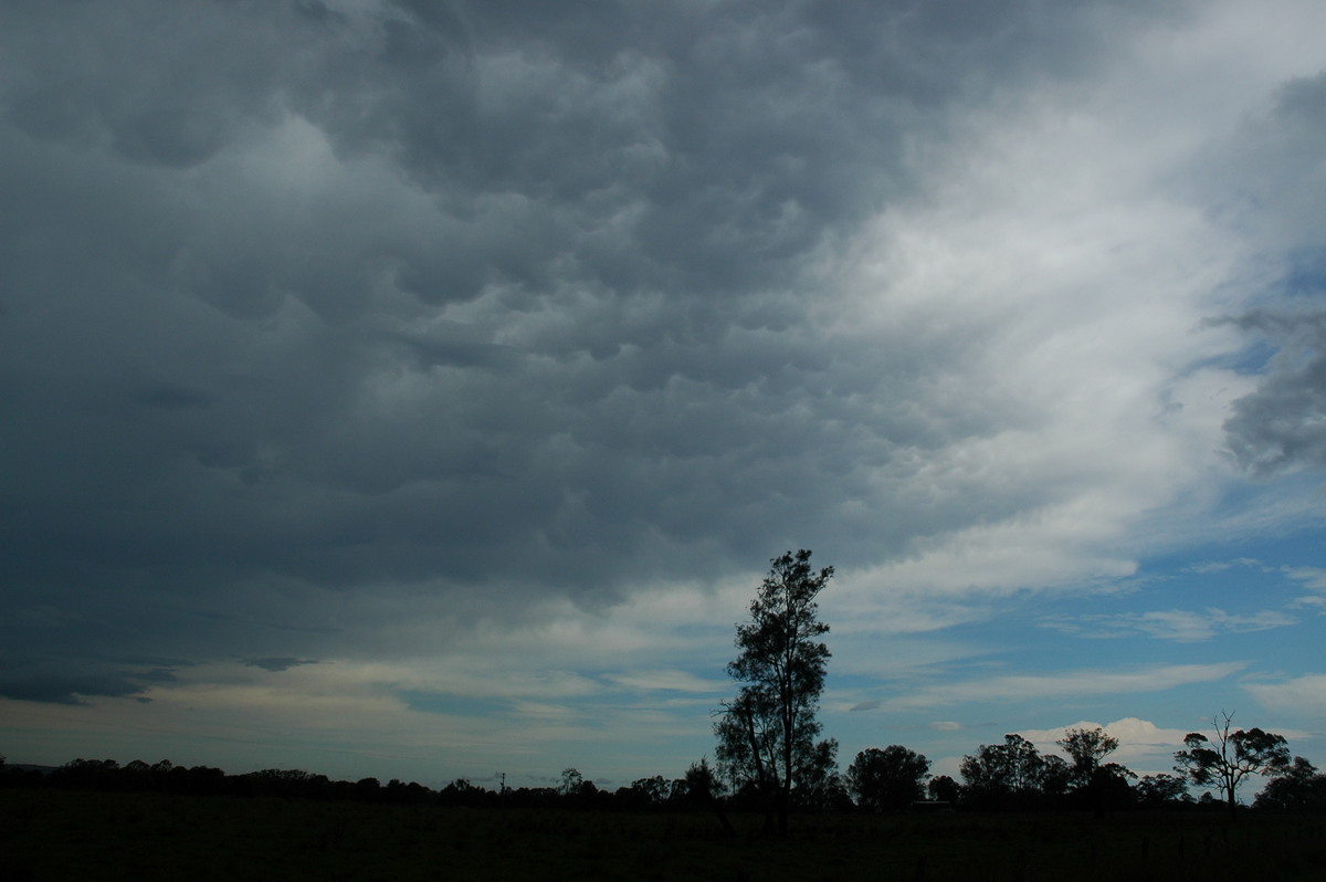 anvil thunderstorm_anvils : S of Lismore, NSW   1 December 2005