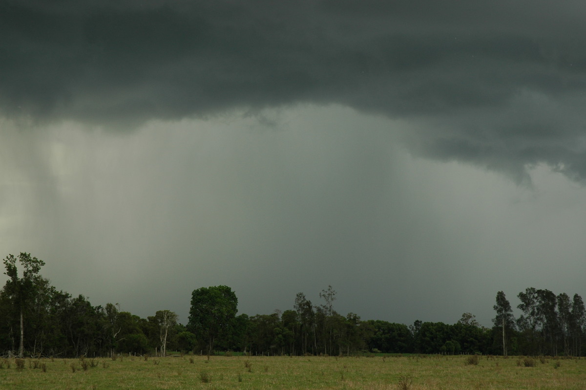 raincascade precipitation_cascade : S of Lismore, NSW   1 December 2005