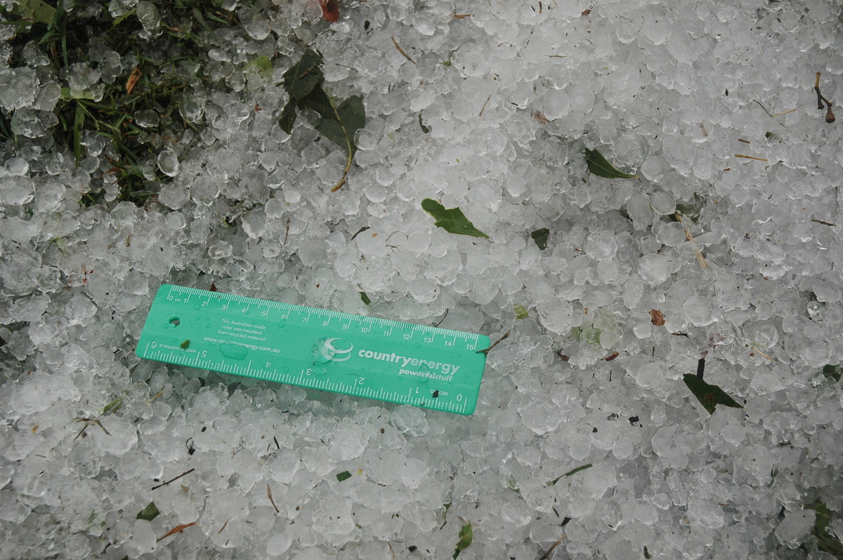 hailstones hail_stones : near Maclean, NSW   1 December 2005