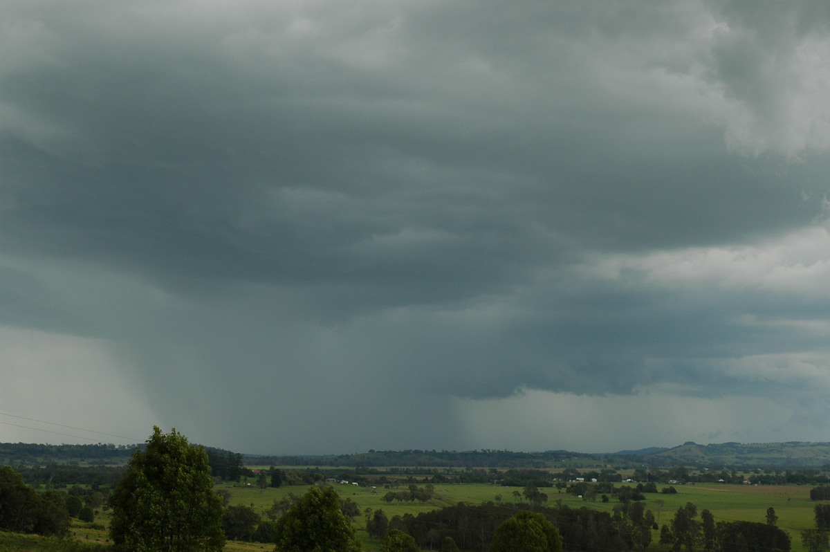 raincascade precipitation_cascade : Tregeagle, NSW   2 December 2005