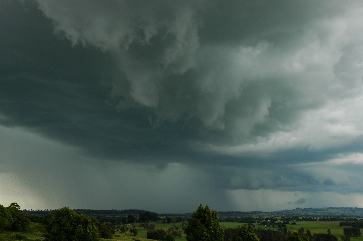 cumulonimbus thunderstorm_base : Tregeagle, NSW   2 December 2005