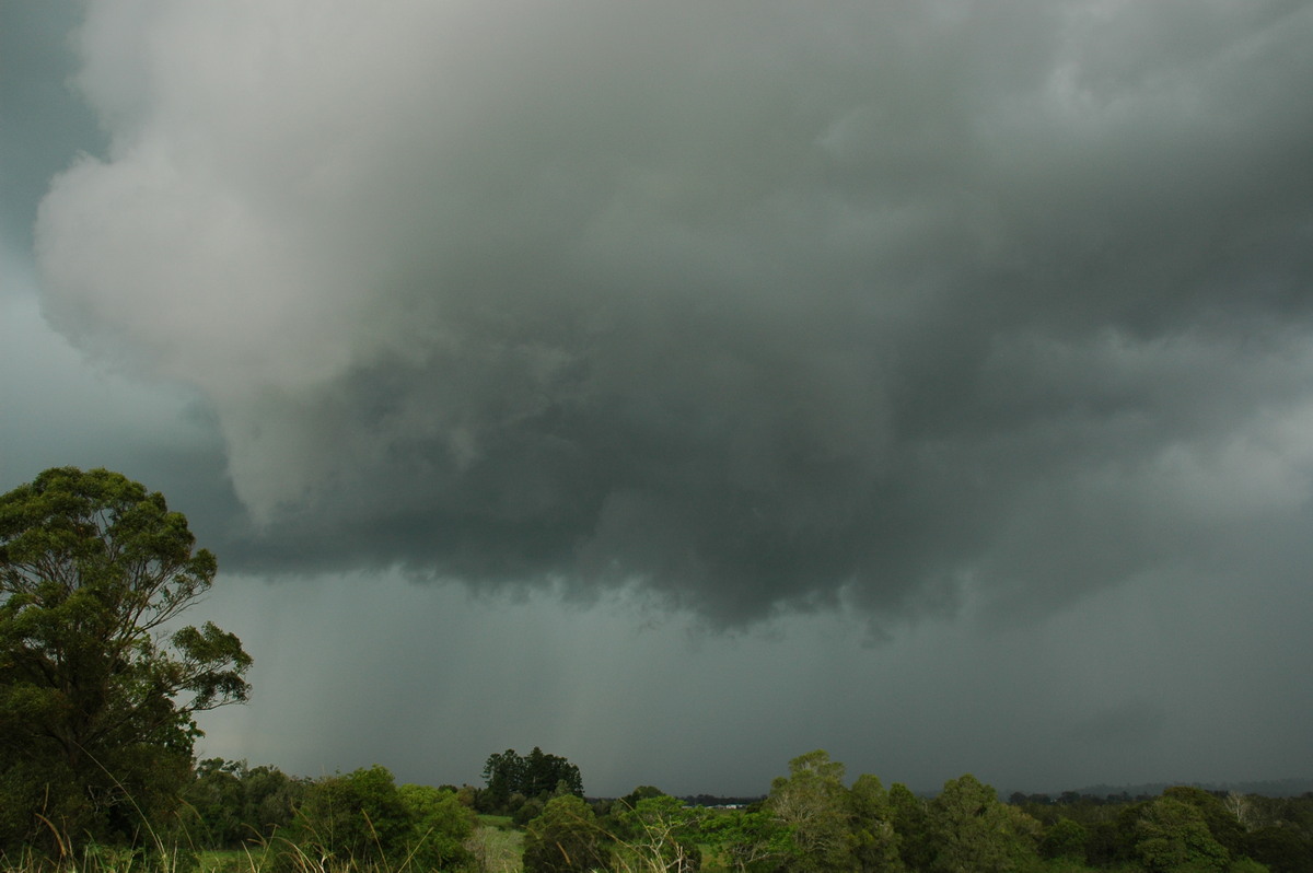 cumulonimbus thunderstorm_base : Tregeagle, NSW   2 December 2005