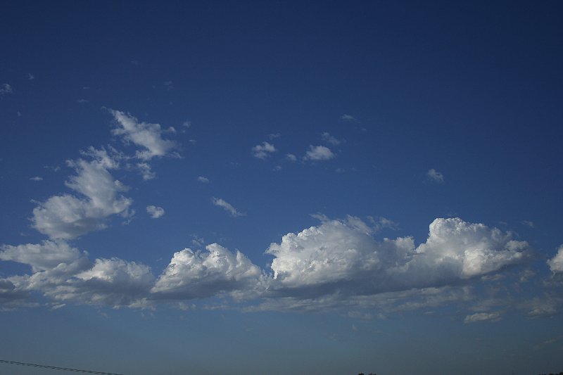 cumulus mediocris : Schofields, NSW   5 December 2005