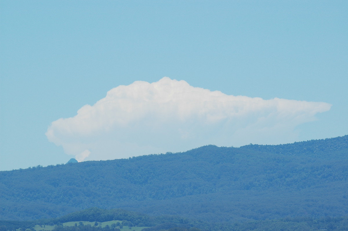 anvil thunderstorm_anvils : McLeans Ridges, NSW   5 December 2005