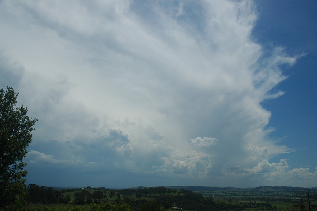 anvil thunderstorm_anvils : Wyrallah, NSW   8 December 2005