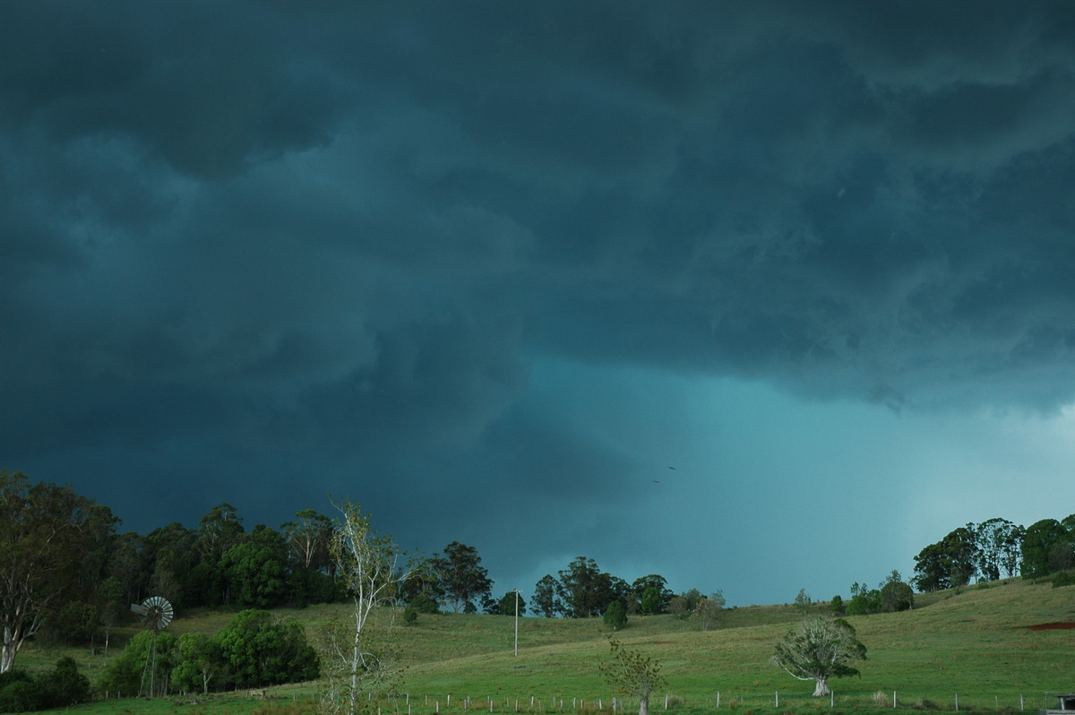 cumulonimbus thunderstorm_base : Wyrallah, NSW   8 December 2005