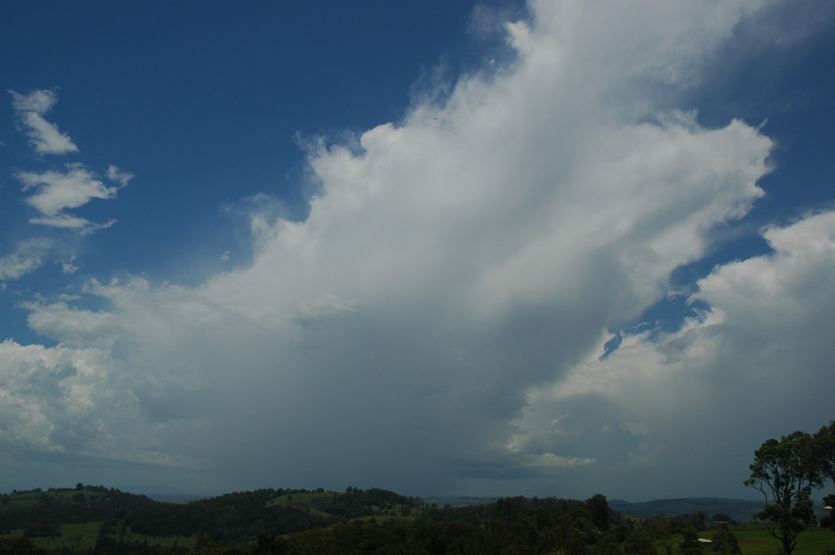 anvil thunderstorm_anvils : Tregeagle, NSW   9 December 2005