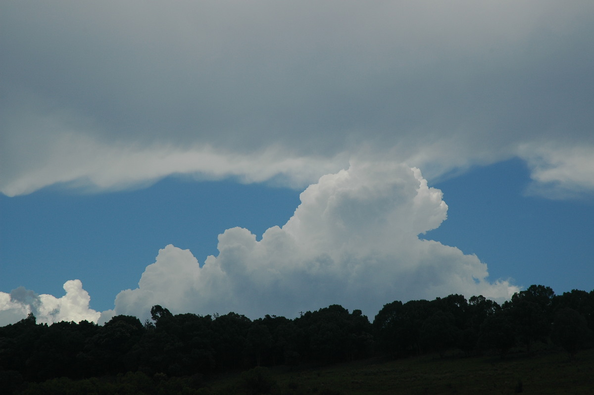 anvil thunderstorm_anvils : Bexhill, NSW   9 December 2005