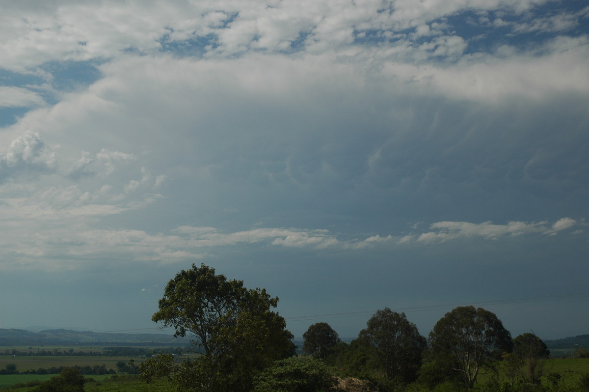 mammatus mammatus_cloud : near Coraki, NSW   13 December 2005