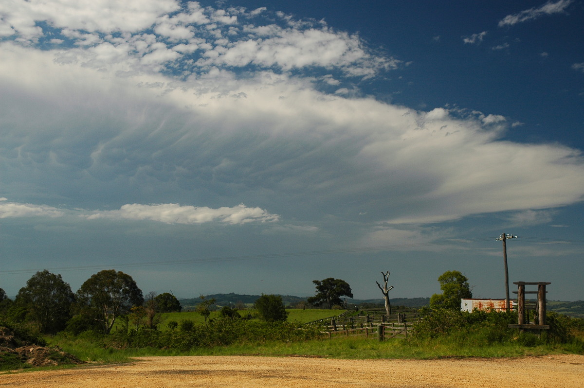 anvil thunderstorm_anvils : near Coraki, NSW   13 December 2005