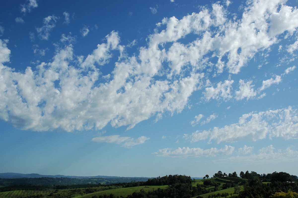 altocumulus castellanus : McLeans Ridges, NSW   14 December 2005