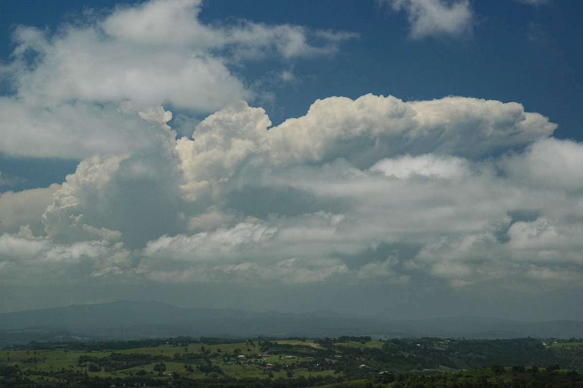 thunderstorm cumulonimbus_incus : McLeans Ridges, NSW   14 December 2005