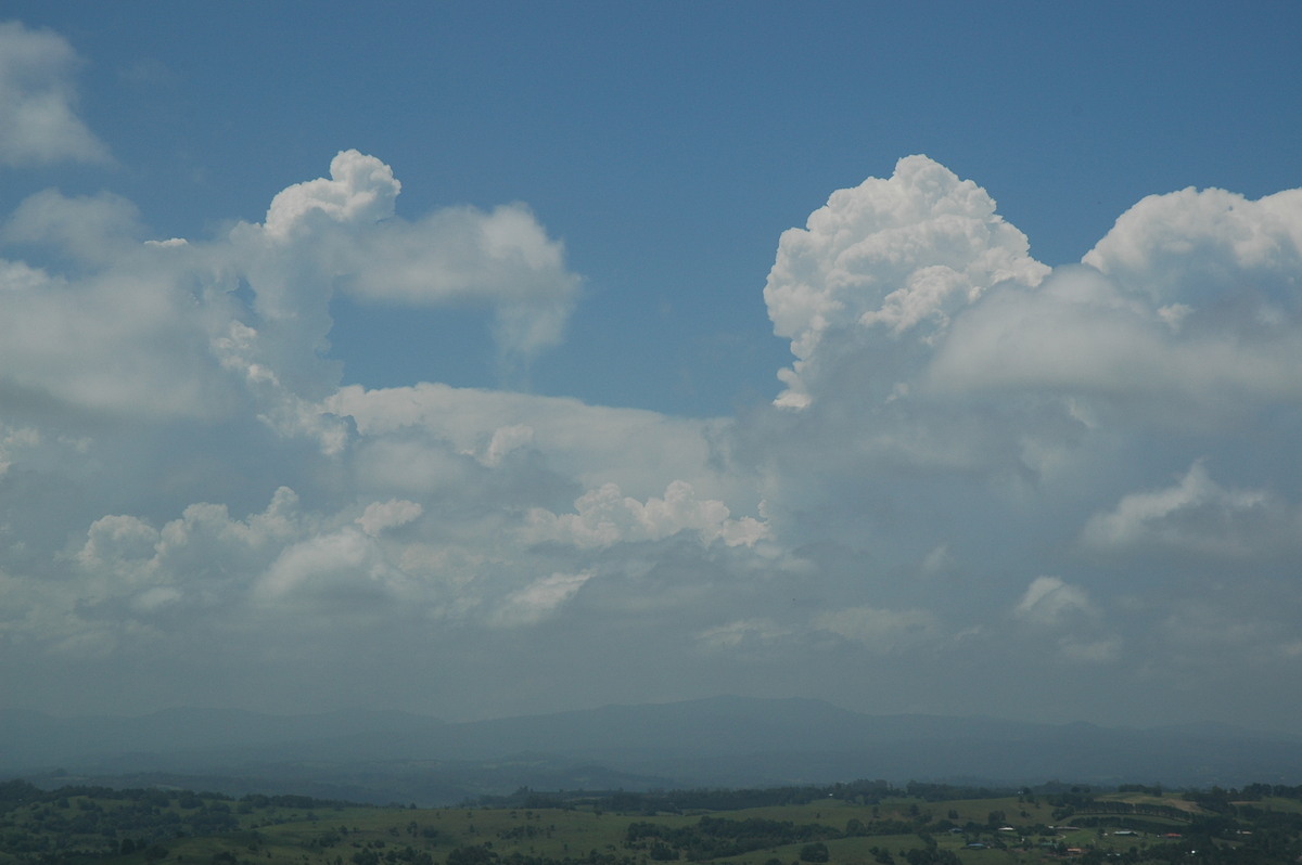 stratocumulus stratocumulus_cloud : McLeans Ridges, NSW   14 December 2005