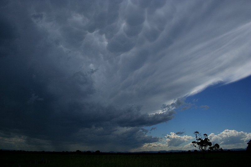 anvil thunderstorm_anvils : Taree, NSW   17 December 2005