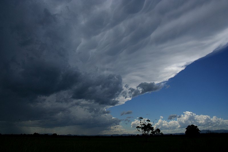 mammatus mammatus_cloud : Taree, NSW   17 December 2005