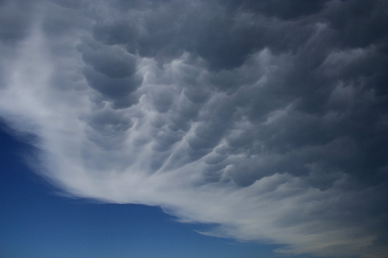 anvil thunderstorm_anvils : Taree, NSW   17 December 2005