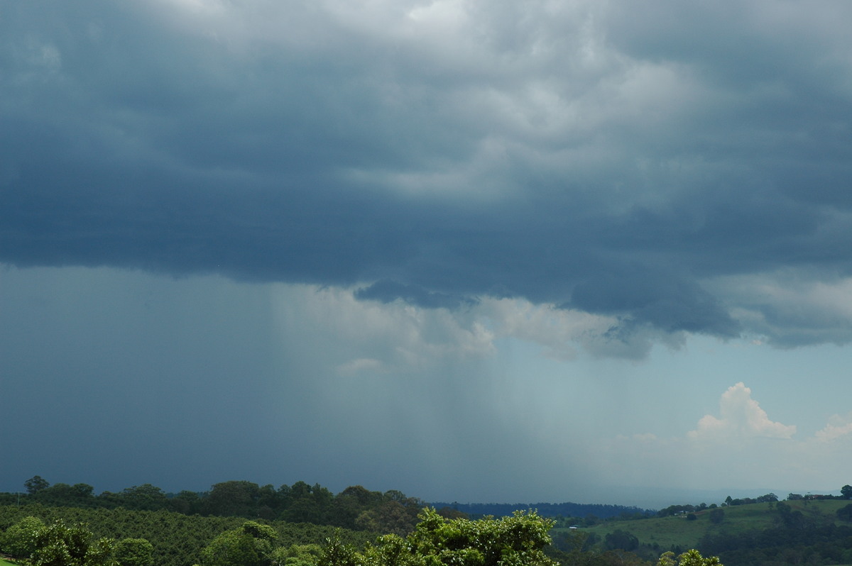 cumulonimbus thunderstorm_base : Tregeagle, NSW   17 December 2005