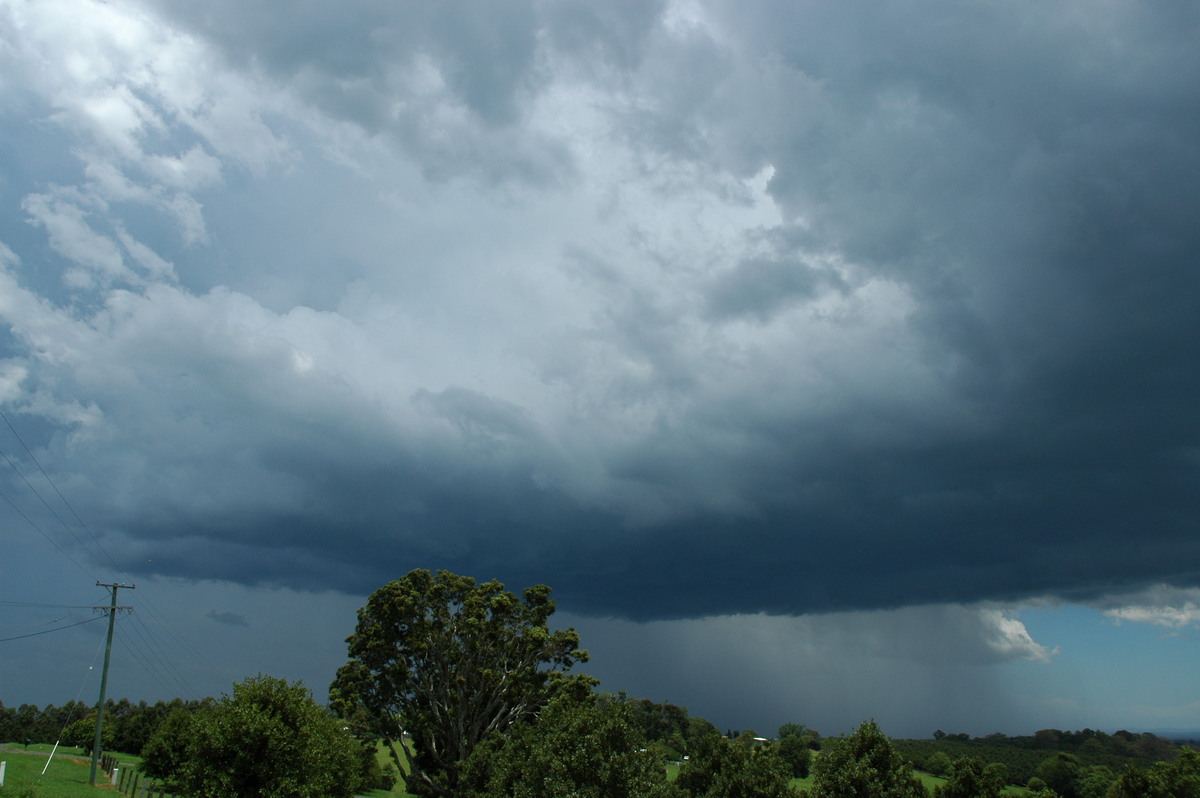 cumulonimbus thunderstorm_base : McLeans Ridges, NSW   17 December 2005
