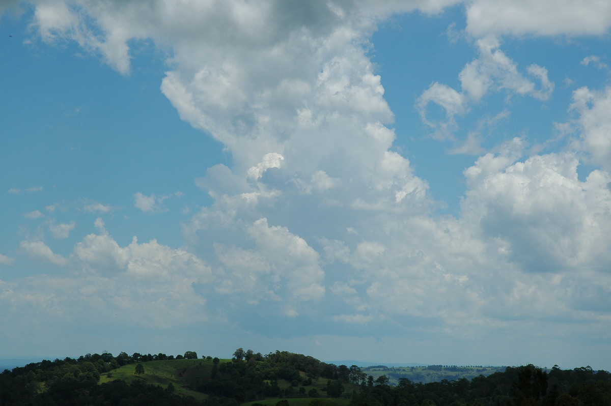 cumulus congestus : Tregeagle, NSW   17 December 2005