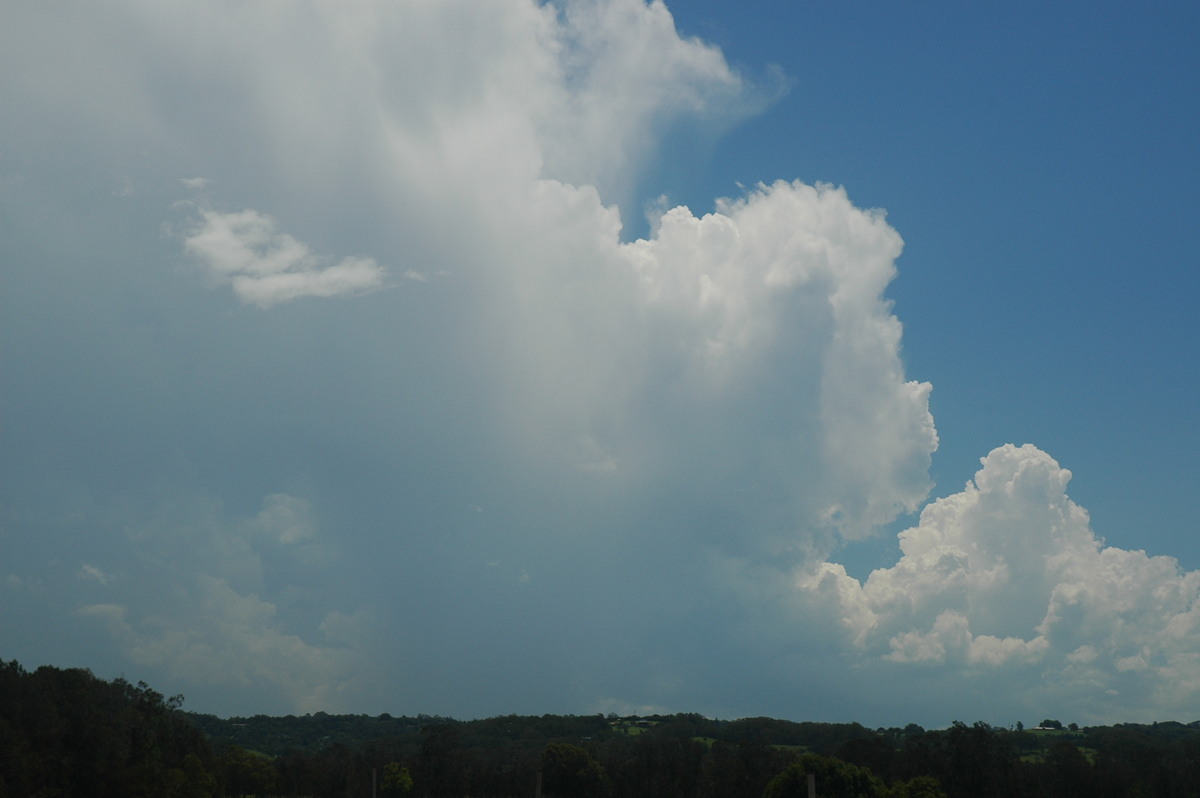 thunderstorm cumulonimbus_calvus : Ballina, NSW   17 December 2005