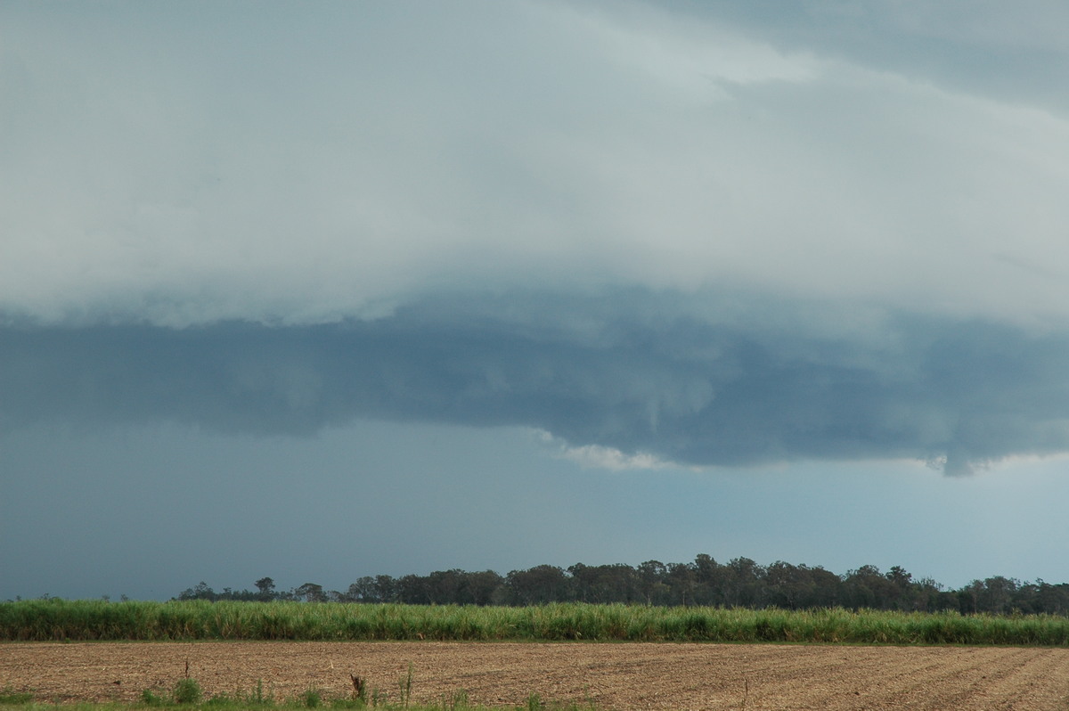 shelfcloud shelf_cloud : W of Broadwater, NSW   17 December 2005