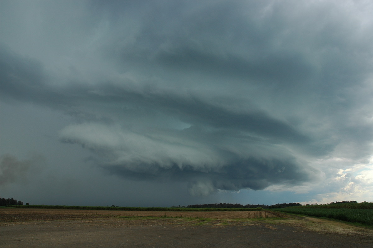 wallcloud thunderstorm_wall_cloud : W of Broadwater, NSW   17 December 2005