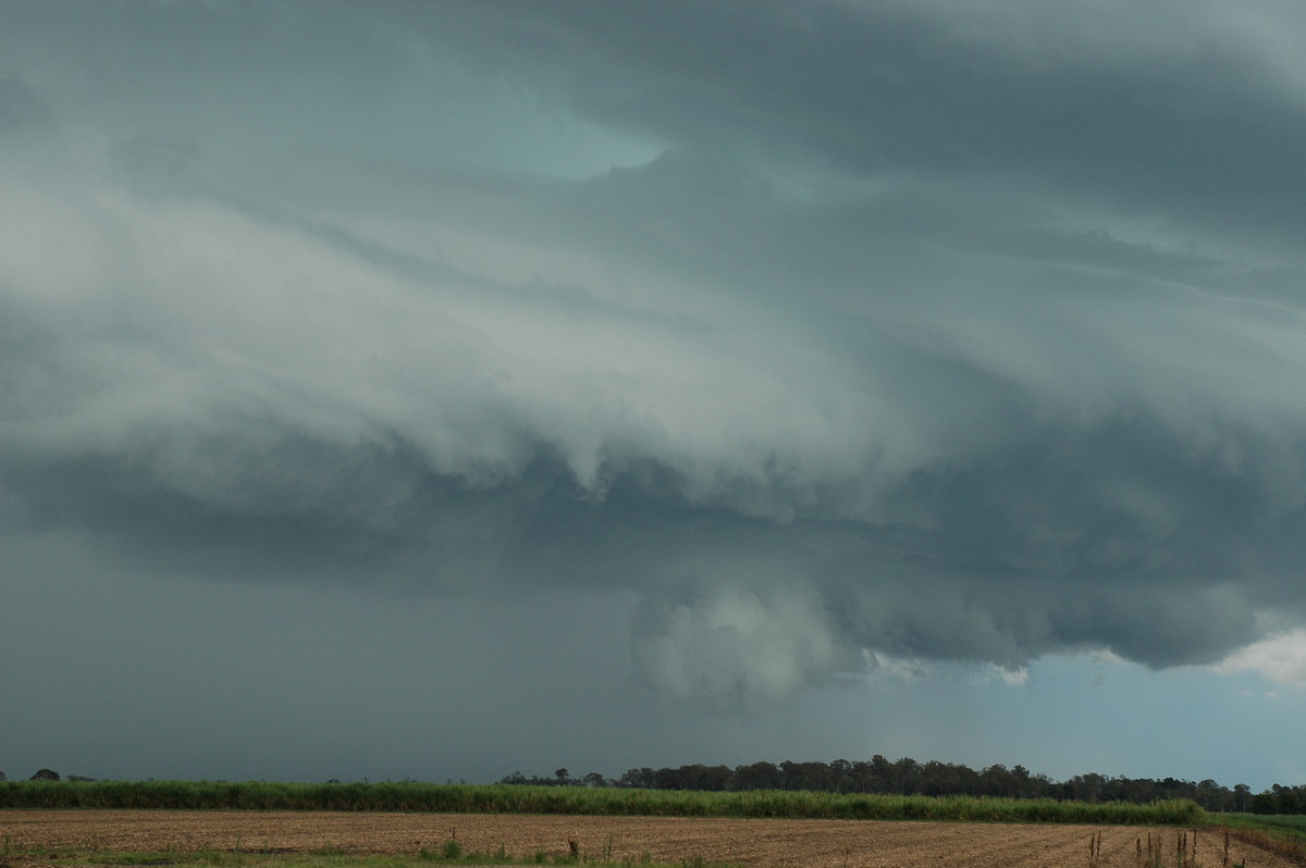 wallcloud thunderstorm_wall_cloud : W of Broadwater, NSW   17 December 2005