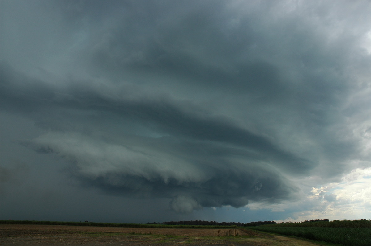 wallcloud thunderstorm_wall_cloud : W of Broadwater, NSW   17 December 2005