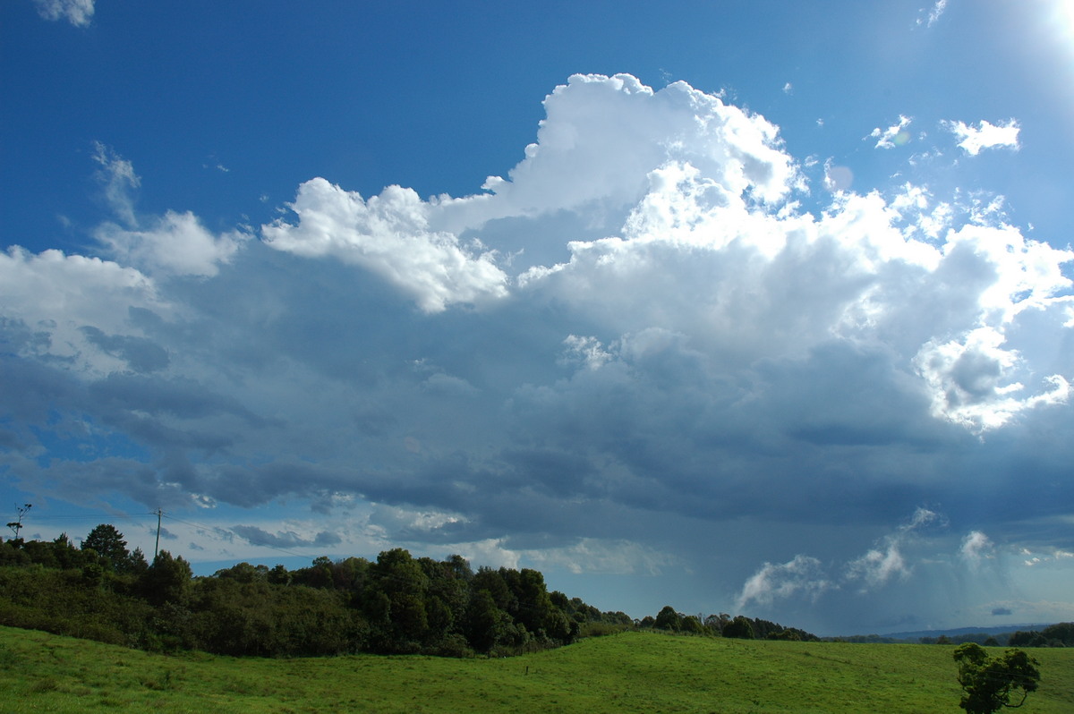 thunderstorm cumulonimbus_calvus : Saint Helena, NSW   17 December 2005