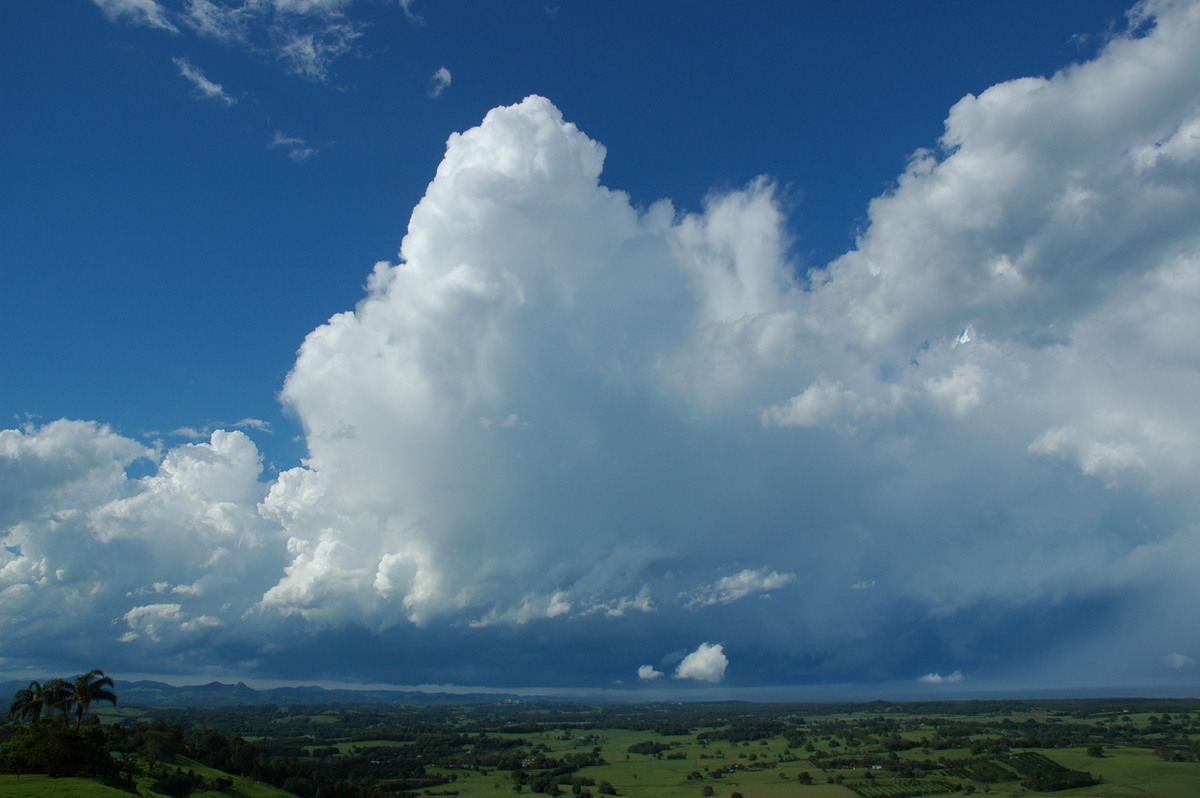 thunderstorm cumulonimbus_calvus : Saint Helena, NSW   17 December 2005