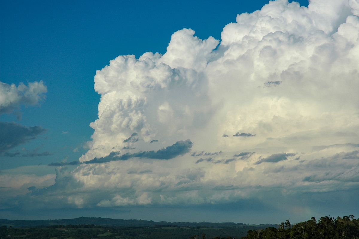 thunderstorm cumulonimbus_incus : McLeans Ridges, NSW   17 December 2005