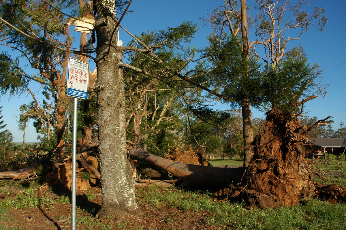 disasters storm_damage : Modanville, NSW   18 December 2005