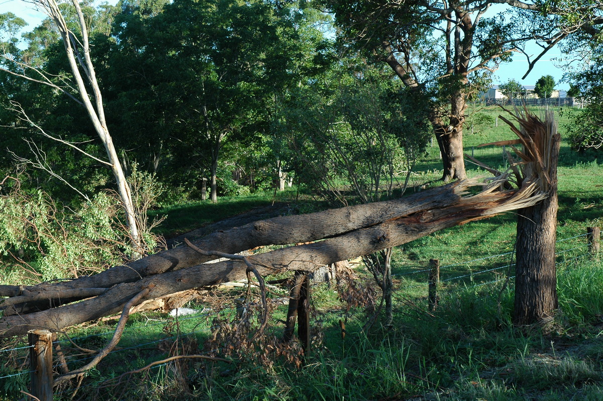 disasters storm_damage : Modanville, NSW   18 December 2005