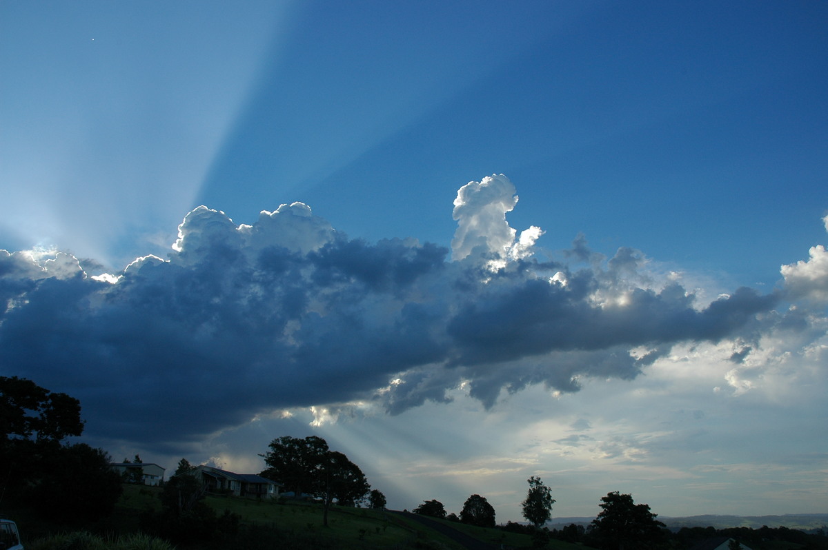 cumulus congestus : McLeans Ridges, NSW   23 December 2005