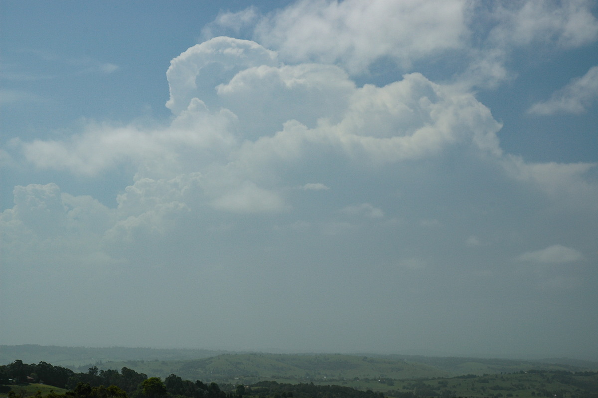 thunderstorm cumulonimbus_calvus : McLeans Ridges, NSW   25 December 2005