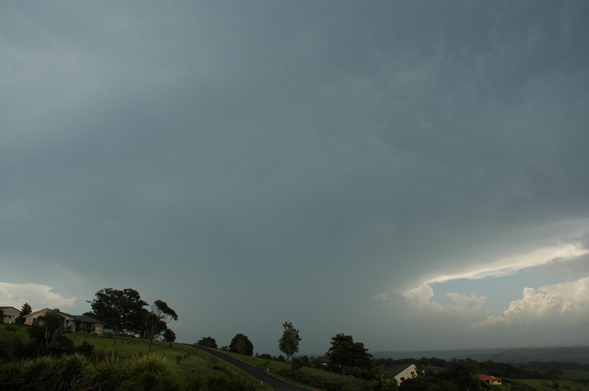 anvil thunderstorm_anvils : McLeans Ridges, NSW   25 December 2005