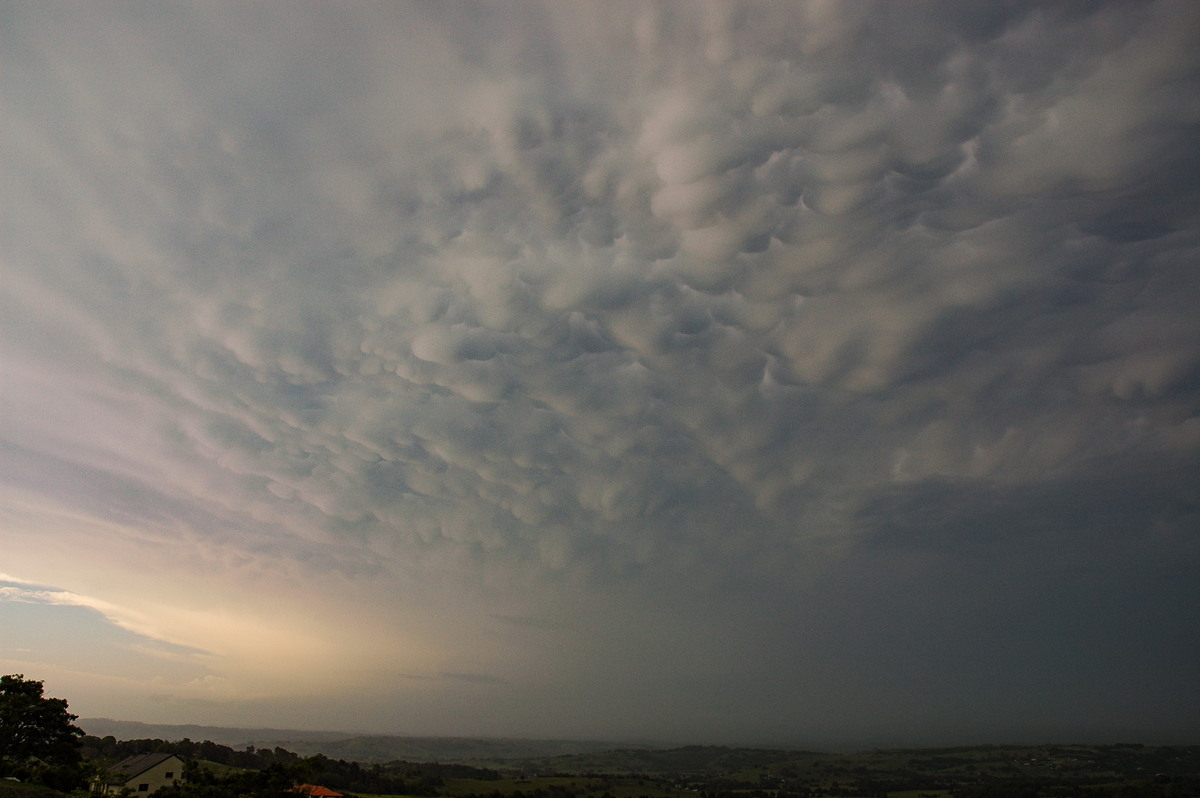 mammatus mammatus_cloud : McLeans Ridges, NSW   25 December 2005