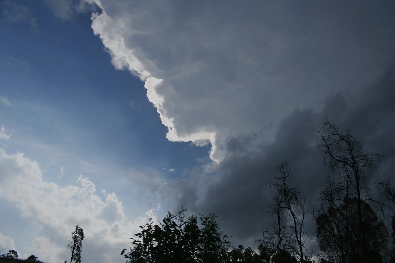 thunderstorm cumulonimbus_incus : near Yarraman, Qld   26 December 2005