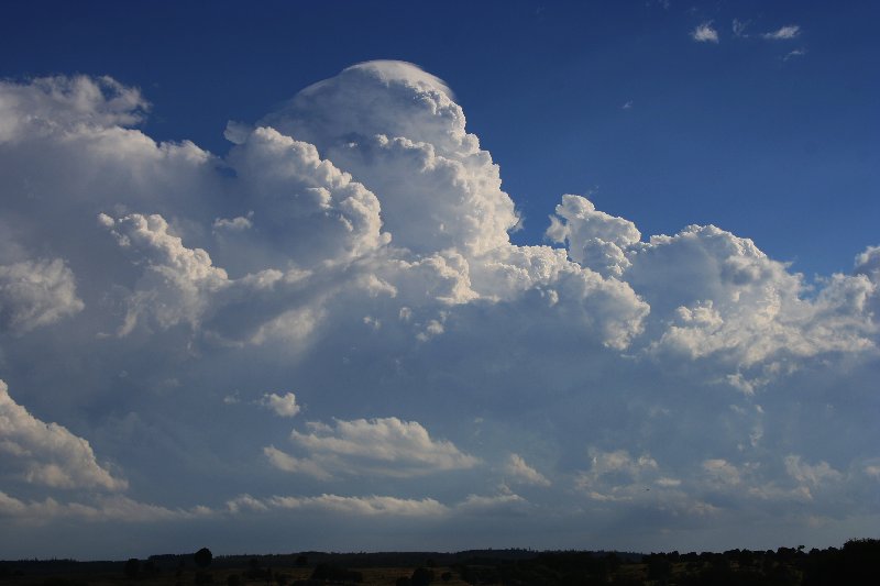thunderstorm cumulonimbus_calvus : near Yarraman, Qld   26 December 2005