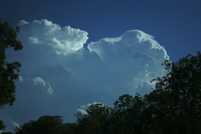 pileus pileus_cap_cloud : near Yarraman, Qld   26 December 2005