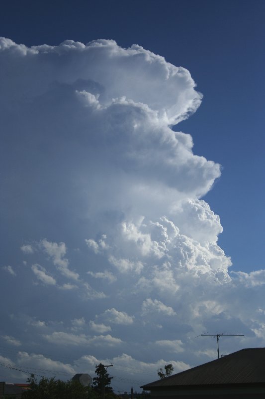 thunderstorm cumulonimbus_incus : near Yarraman, Qld   26 December 2005