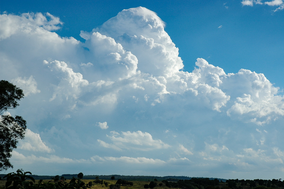 thunderstorm cumulonimbus_calvus : near Yarraman, QLD   26 December 2005