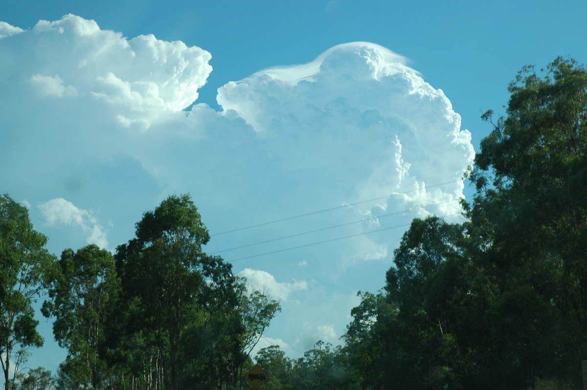 thunderstorm cumulonimbus_calvus : near Yarraman, QLD   26 December 2005